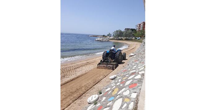 Yalova Armutlu sahillerinde bahar temizliği başladı