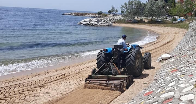 Yalova Armutlu sahillerinde bahar temizliği başladı