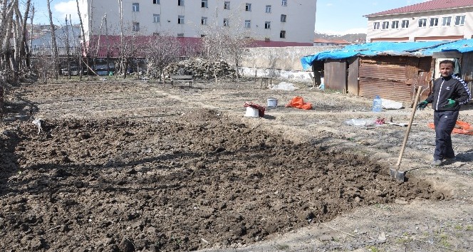 Yüksekova’da havalar ısındı, toprağa tohumlar atılmaya başlandı