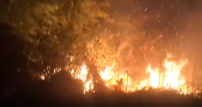 Rize&#039;deki orman yangını güçlükle söndürüldü