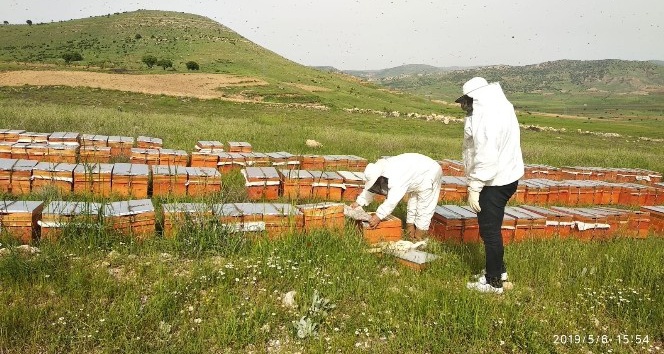 Gercüş’te çiftçilere arı kovanı dağıtıldı