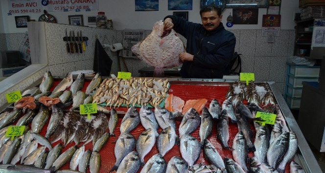 Balık fiyatları Ramazan’da düştü