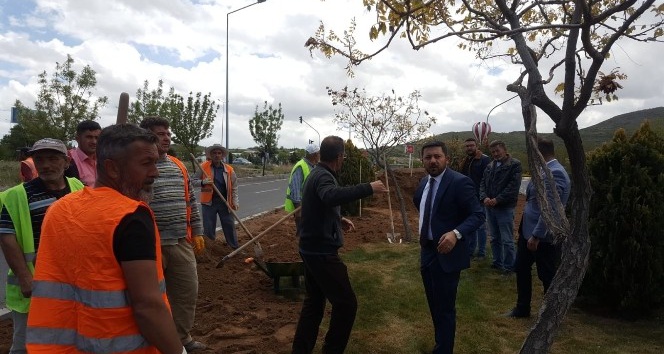 Belediye Başkanı Arı, çalışma alanlarında incelemelerde bulundu