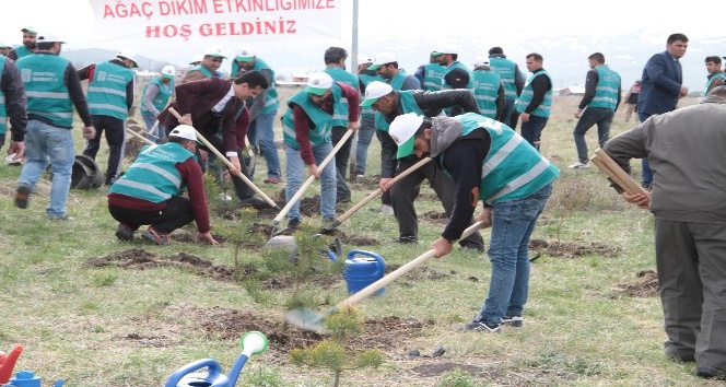 Hükümlüler ‘Adalet Ormanı’na fidan dikti