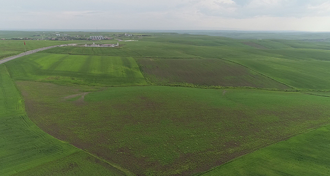 Çiftçiyi kuraklık değil aşırı yağışlar vurdu