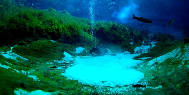 Bu görüntüler Dünya ikinciliği getirdi