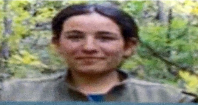 Tunceli’de 4 terörist öldürüldü