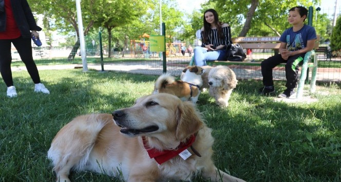 Akhisar’da köpeklerin de artık bir parkı var