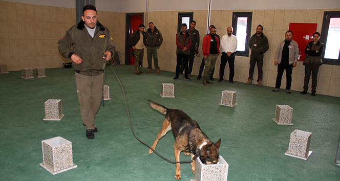İstanbul Havalimanı&#039;nda apron güvenliği özel köpeklere emanet