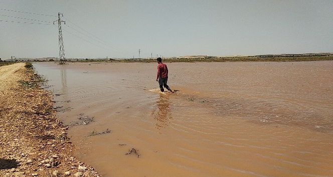 DSİ’ye ait sulama borusu patladı ekili araziler su altında kaldı