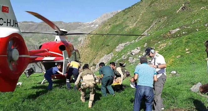 Kozluk’ta hayvan otlatan kadın kayalıklardan düşerek ağır yaralandı
