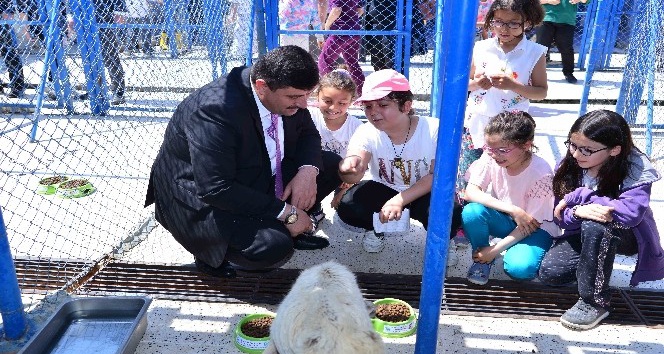 Kendileri küçük, yürekleri kocaman