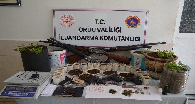 Ordu’da uyuşturucu operasyonu: 7 tutuklama