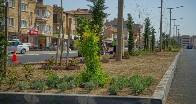 Nevşehir’de binlerce çiçek ve ağaç toprakla buluşturuluyor