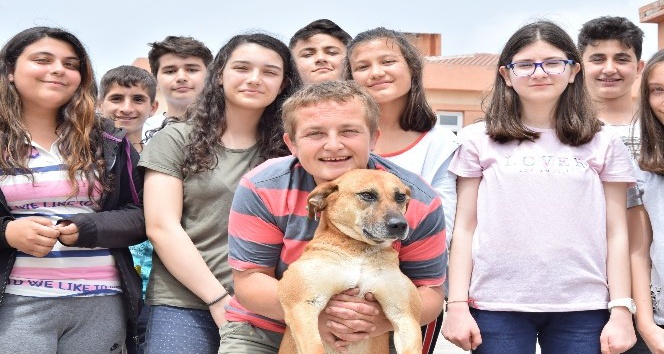 (Özel) Öğrenciler kanserli köpeği tedavi ettirdi