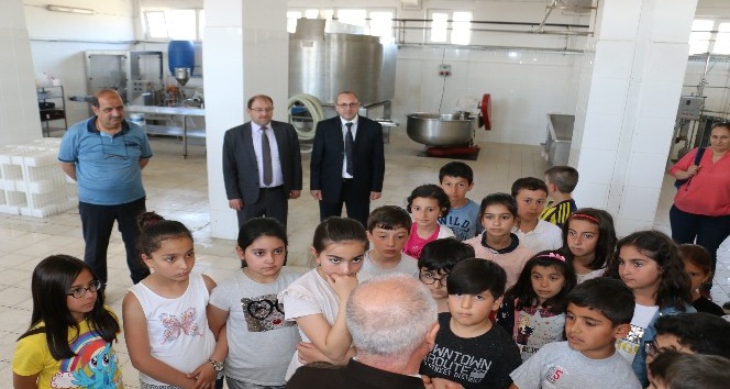 Erzincan’da Dünya Süt Günü kutlandı