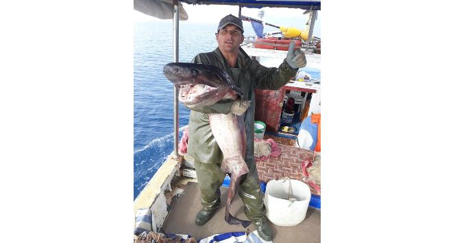 Antalyalı balıkçı 1 metre uzunluğunda dev sardalya yakaladı
