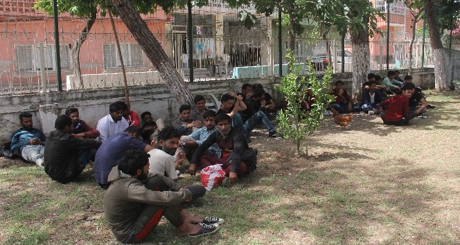 Adana’da 57 kaçak göçmen yakalandı