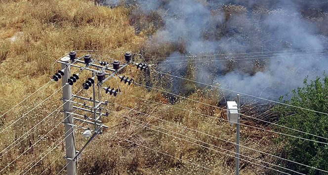 Türkiye - Suriye sınırındaki mayınlı alanda yangın çıktı