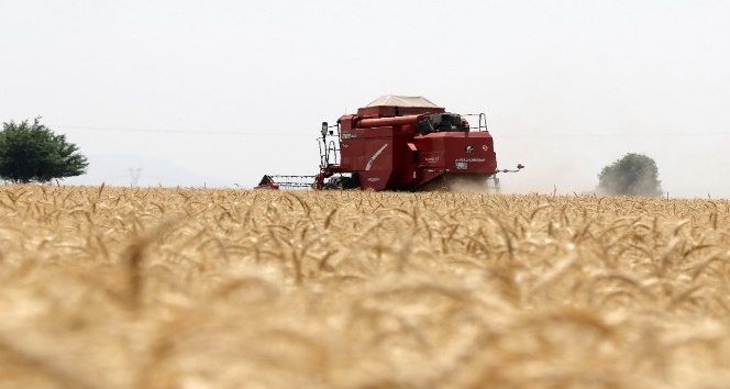 Kozan’da buğday sezonu açıldı