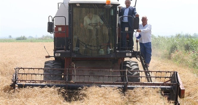 Sağlam “Stratejik ürün, buğdaydan vazgeçilmemeli”