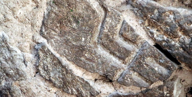 Ahırdan tarih fışkırdı