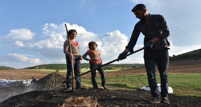 Zorlu şartlar altında mangal kömürü üretiyorlar