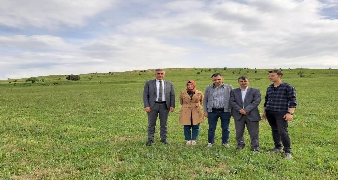 Gümüşhane meraları ıslah ediliyor