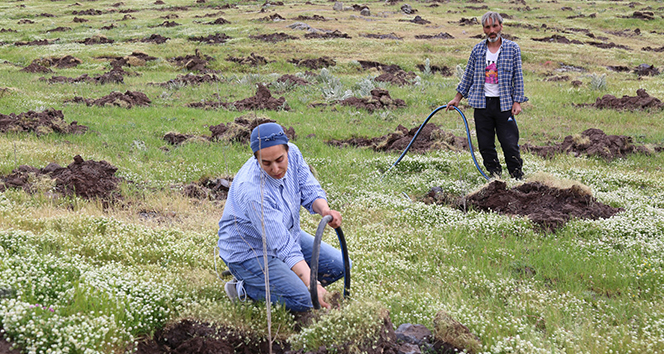Kadın girişimci Türkiye&#039;nin en büyük ipek böceği üretimi için dut bahçesi kurdu