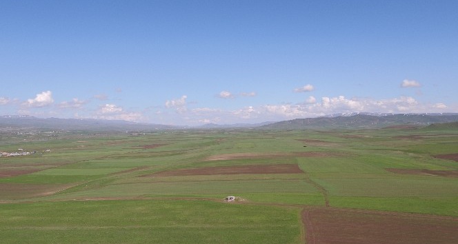 Erzincan’da 176 bin hektar alanın tamamı 2021’e kadar toplulaştırılacak