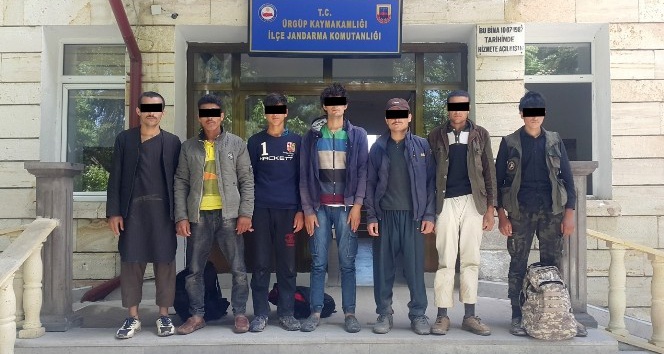 Türkiye’ye yasa dışı yollarla giren 7 Afganlı yakalandı