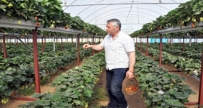 Jeneratör İle topraksız tarım yapıyor