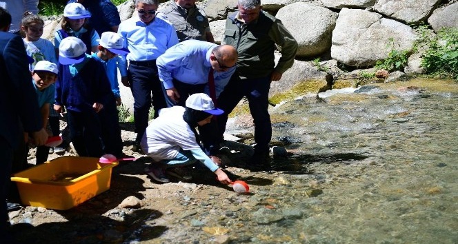 Trabzon’da 14 yılda 16 milyon yavru alabalık orman içi sulara bırakıldı