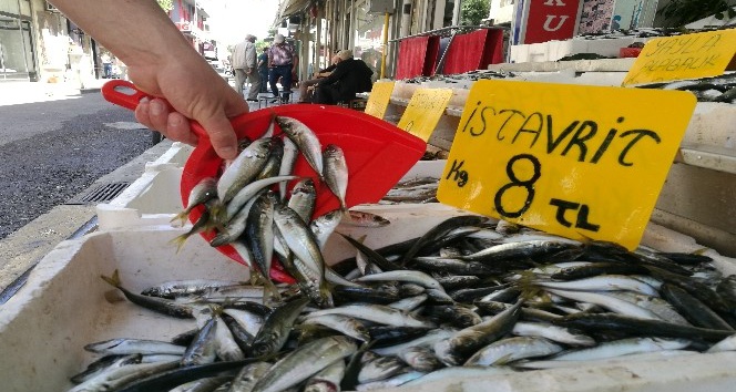 Ramazan bereketi, balık fiyatlarını düşürdü