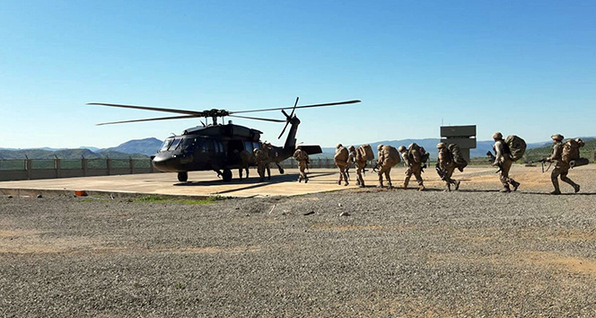 Lice kırsalı teröristlerden temizlendi  |Teröristler kaçacak delik arıyor