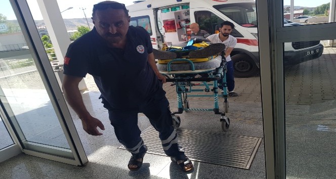 Elazığ-Bingöl yolunda kaza: 7 yaralı