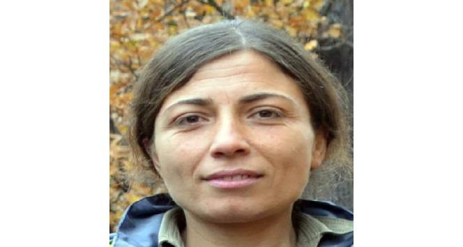 Tunceli’de mağarada teslim olmayan 5 kadın terörist etkisiz hale getirildi