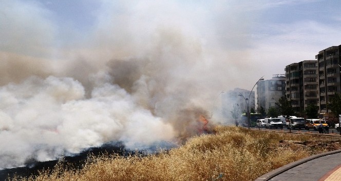 Diyarbakır’da anız yangınları hayatı felç etti