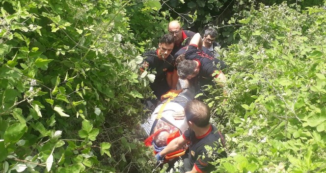 Ağaçtan düşen vatandaş uçurumdan 80 metre aşağı yuvarlandı