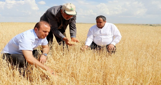 Aksaray’da tarım arazilerini dolu vurdu