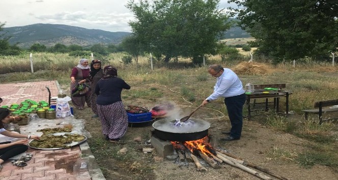 Kaymakam Üçer, Tokat’ın meşhur asma yaprağını topladı
