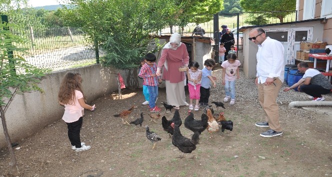 Bu okul diğerlerinden çok farklı