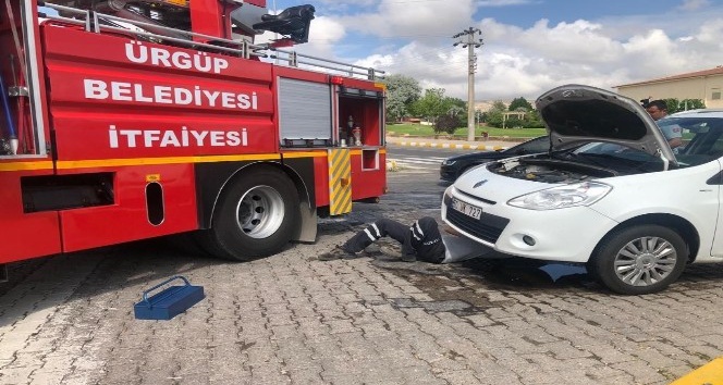 Otomobil motor kısmına giren kedi kurtarıldı