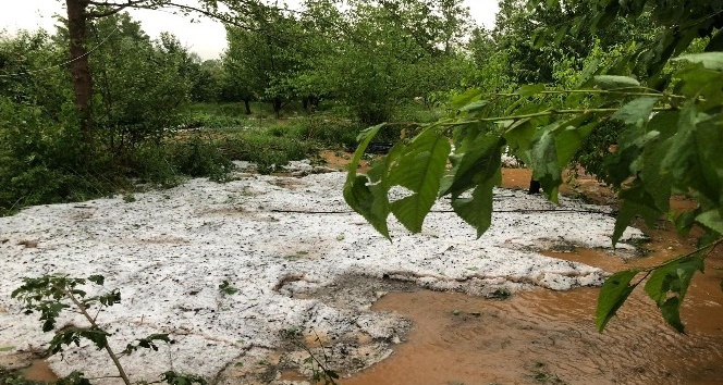 Tokat’ta dolu yağışı etkili oldu