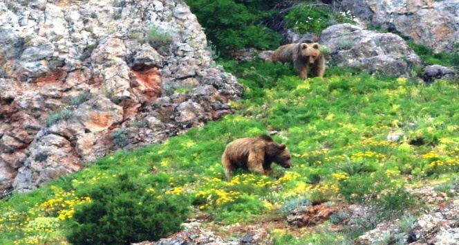 Belgesel değil, Karadeniz dağları