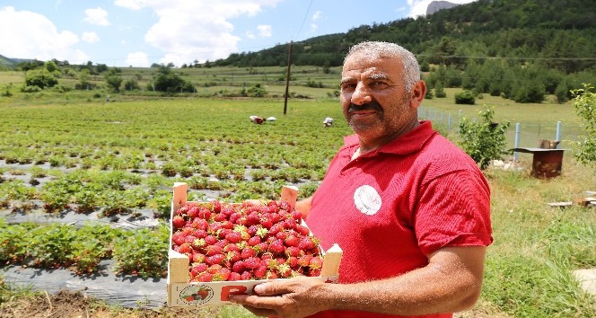 Tavsiye üzerine başladılar şimdi siparişlere yetişemiyorlar