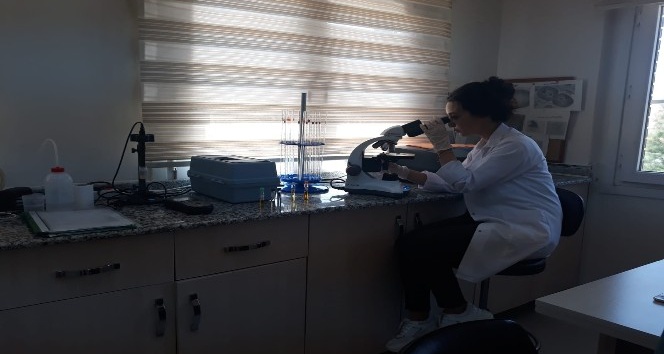 Vatandaşlara kaliteli içme suyu