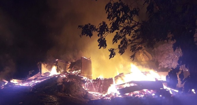Artvin’in Yusufeli ilçesi Dokumacılar köyündeki yangın