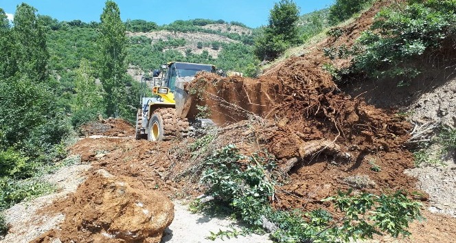 Siirt’te ağaçların devrilmesi sonucu yol ulaşıma kapandı