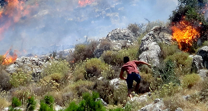 Balıkesir&#039;de korkutan orman yangını